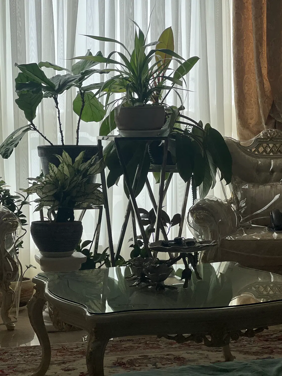 اجاره اپارتمان
