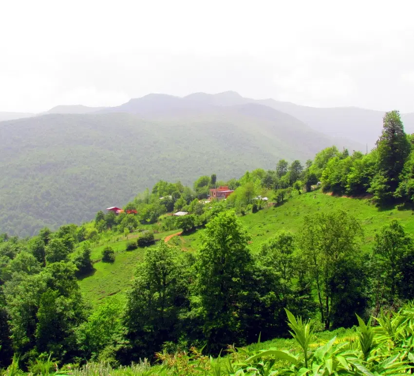 زمین افراتخته