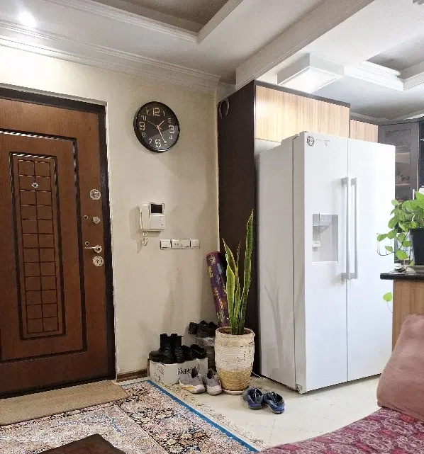 همخونه خانم
