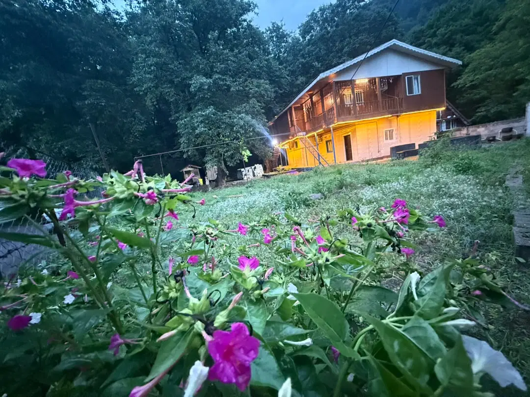 ویلا اجاره ای روزانه