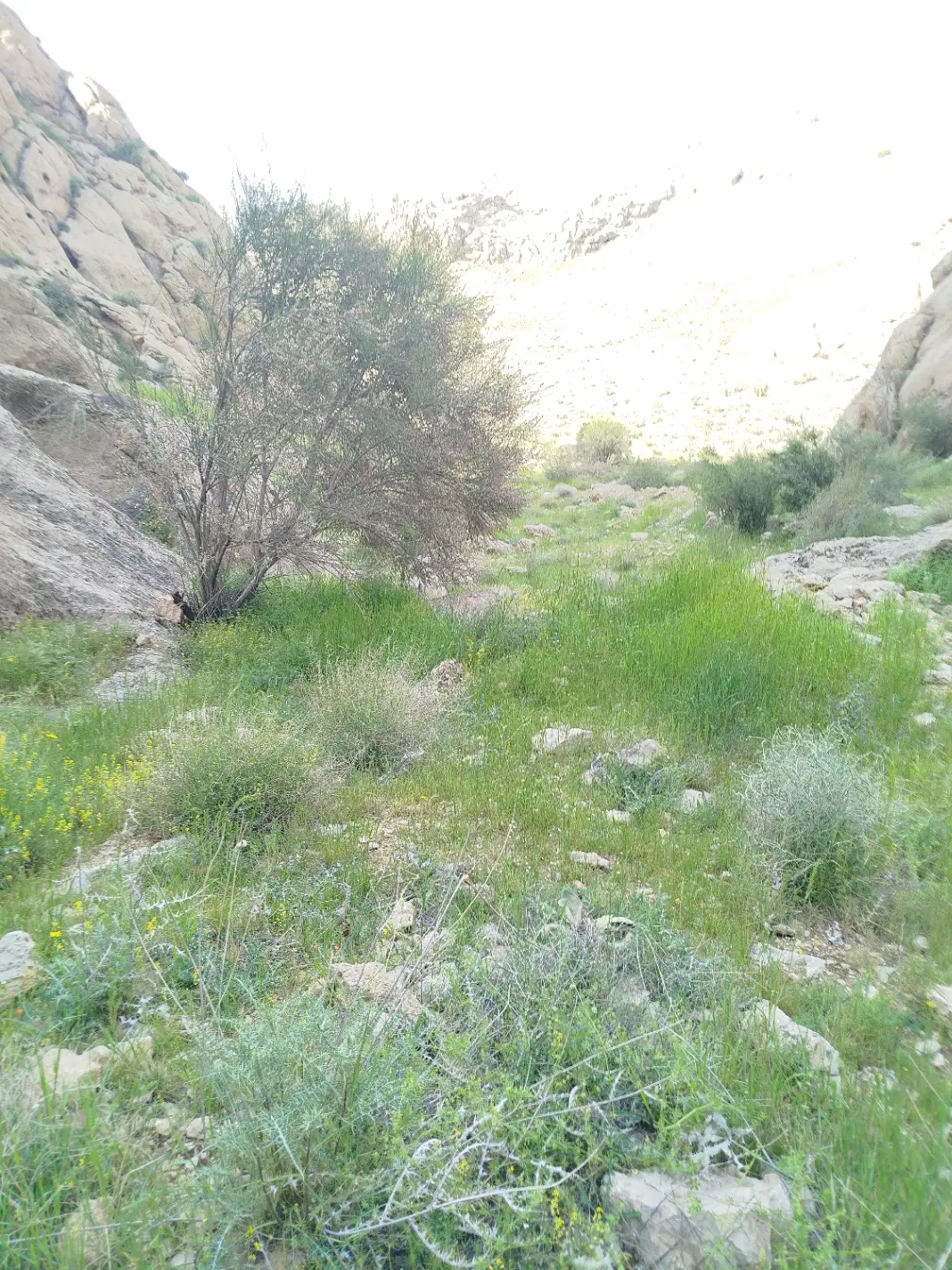 فروش ملک کارگاهی لب جاده زرقان دودج