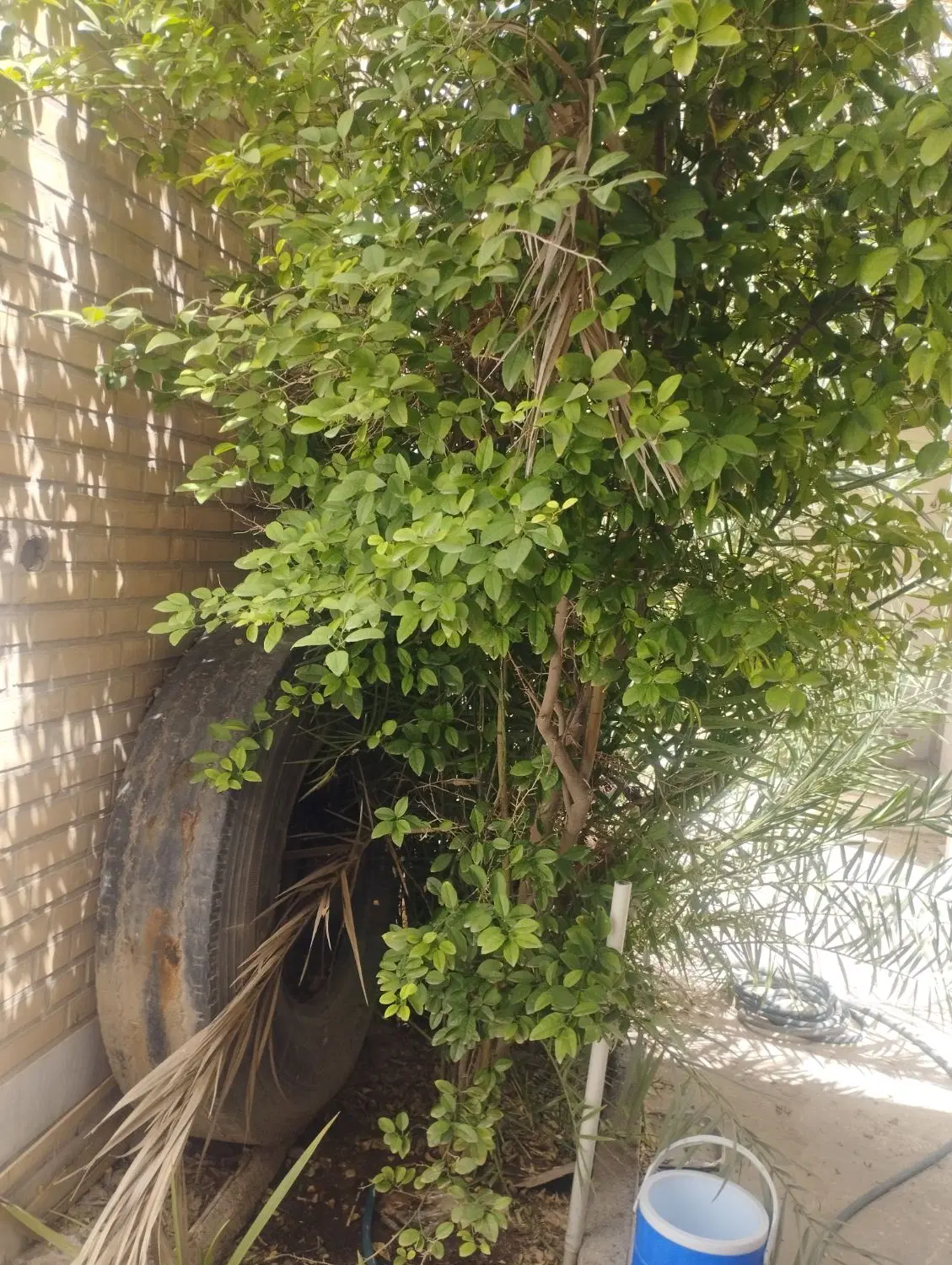 خریداسنادنقل انتقال