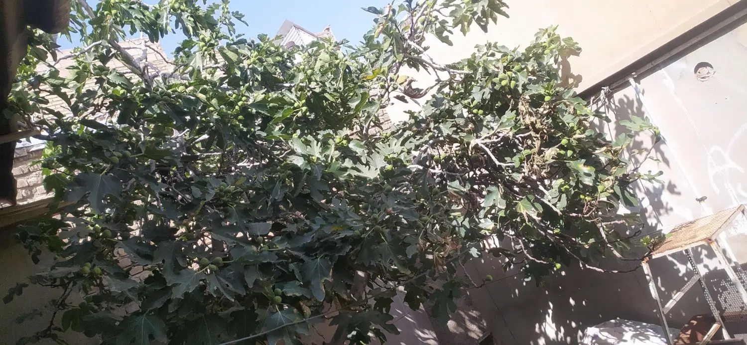 خانه مسکونی در بهترین جای کهریزک.