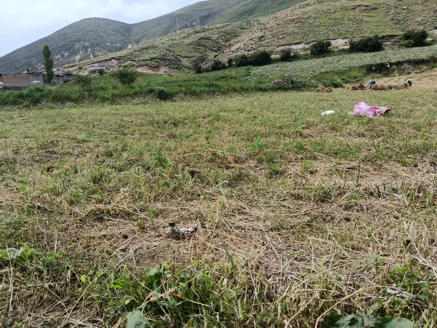 150متر روستای اغبلاغ بام مشکین