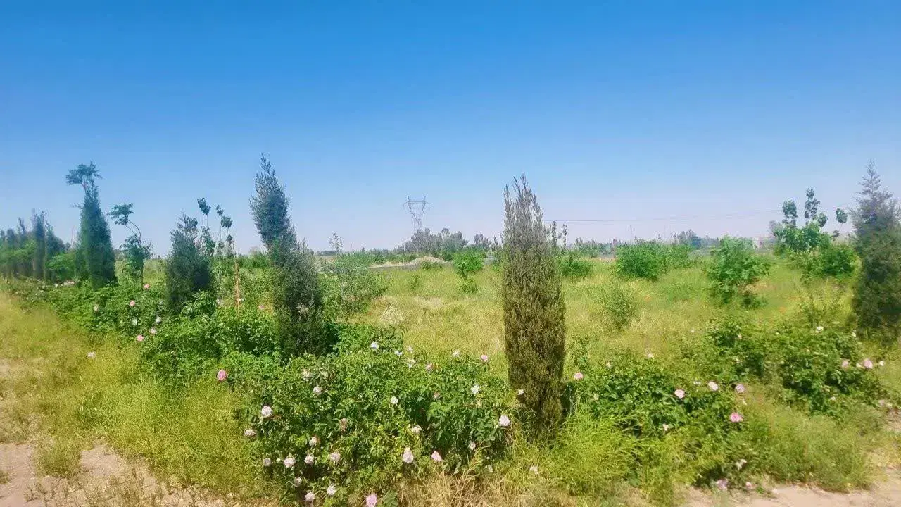 باغچه نقلی داخل شهرک باغی (نقد و چک)