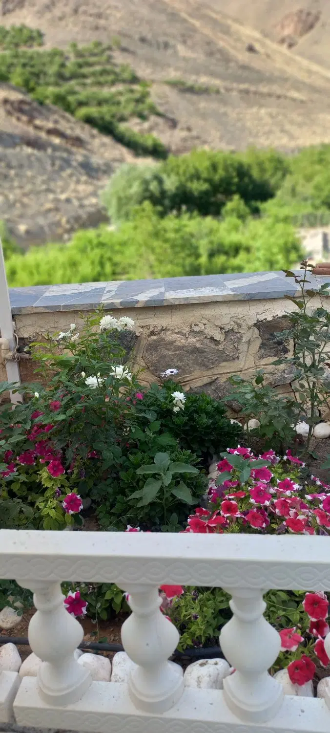 فروش زمین