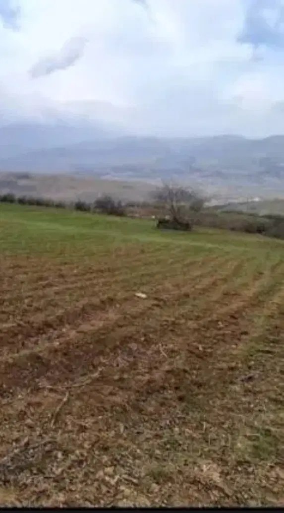 زمین کشاورزی