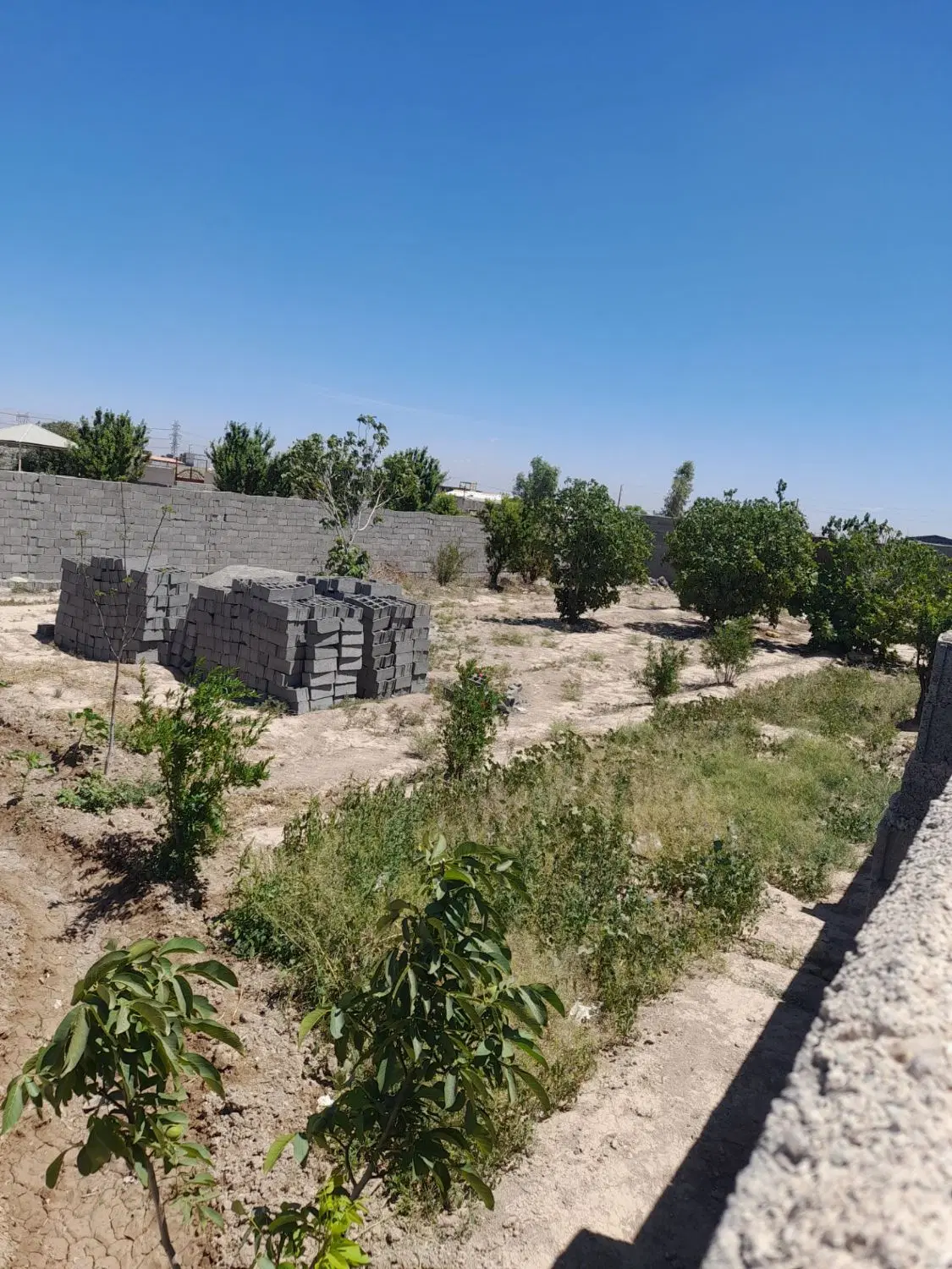 یه قطعه زمینی باغی