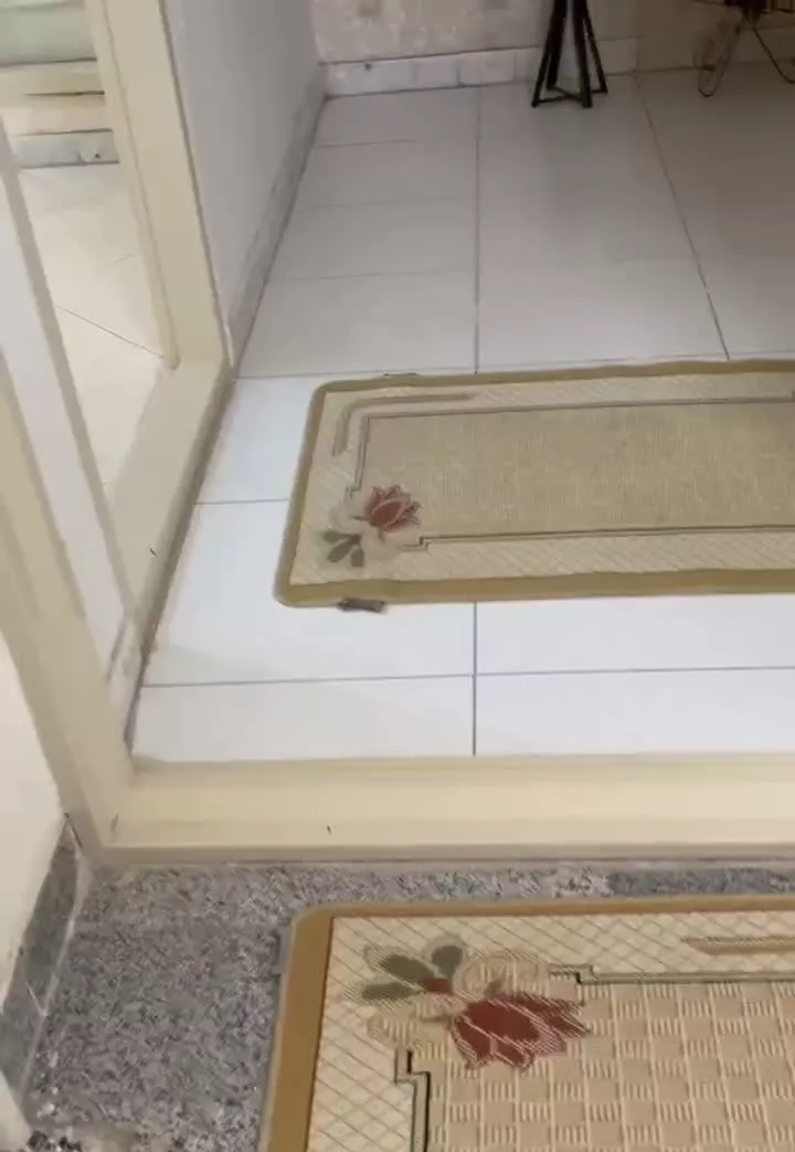 واحد مسکونی ،اجاره ،خ نور