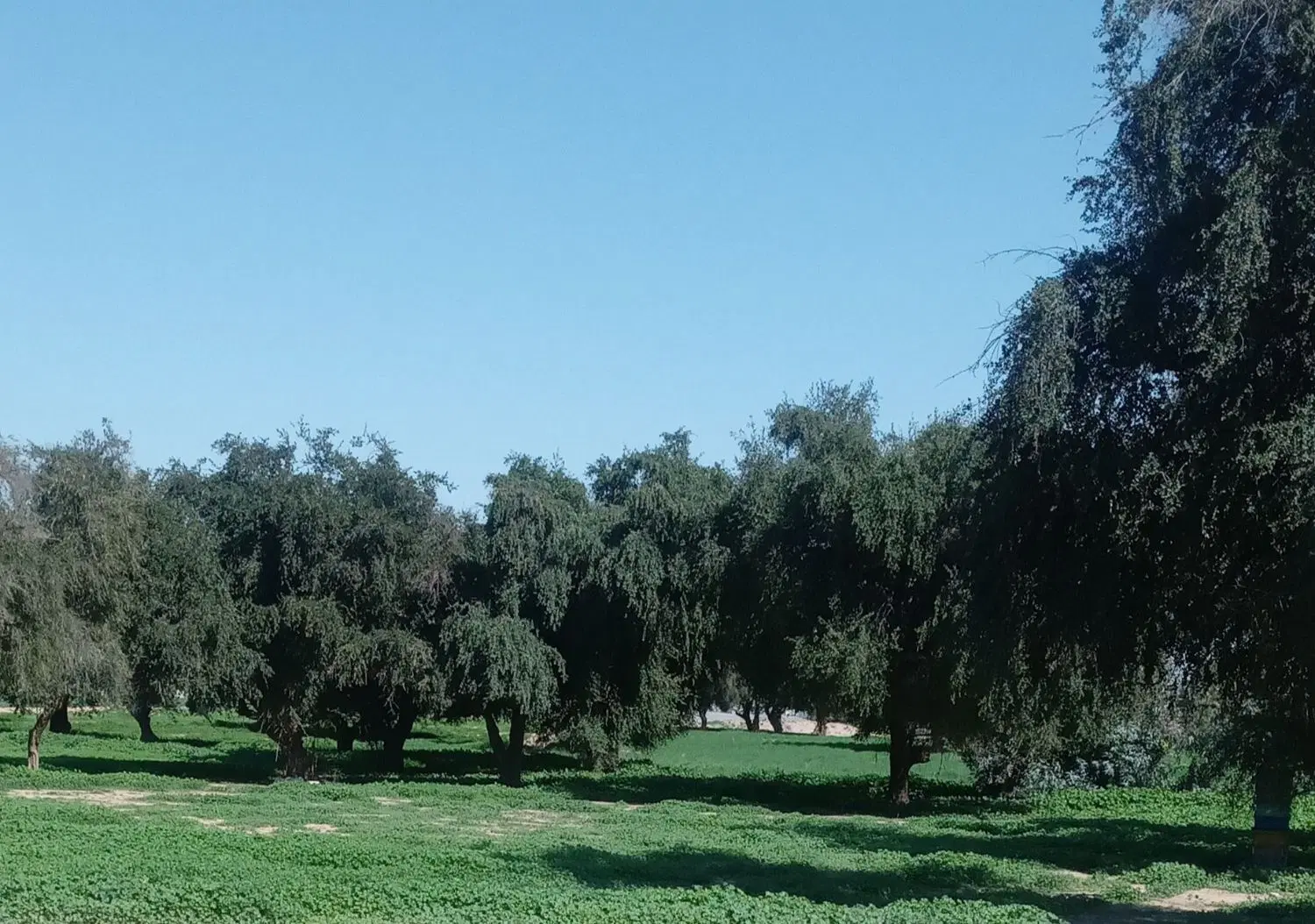 خانه ویلایی
