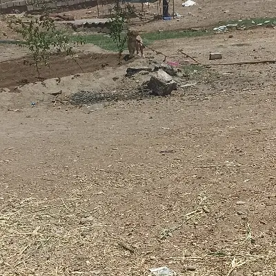خونه فروشی
