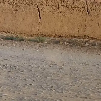 زمین اصطبل کارگاه باغ اصغرباد
