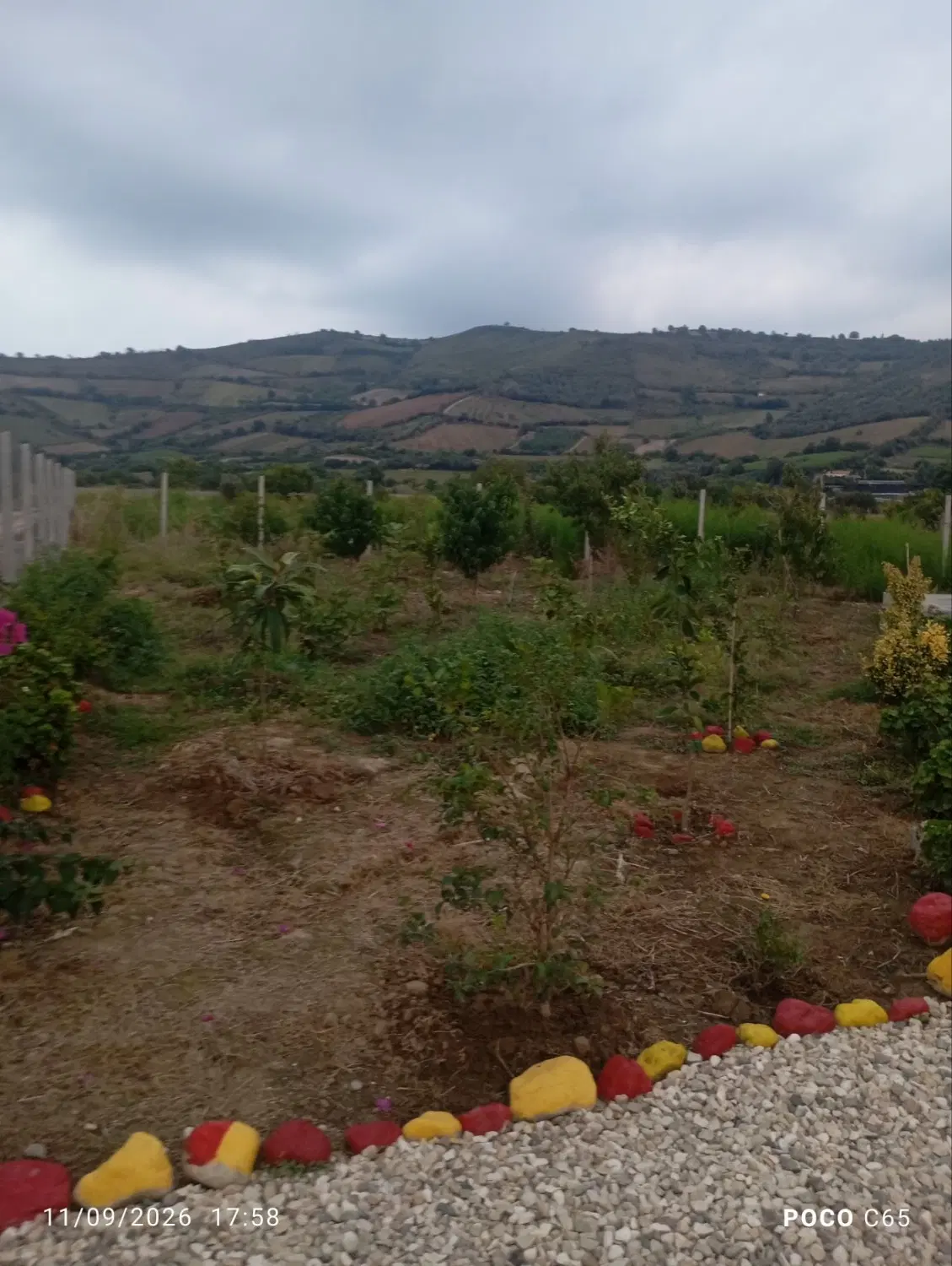 باغ اماده در روستای زیبای اسپومحله