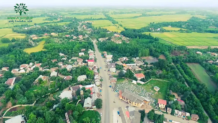 زمین کشاورزی