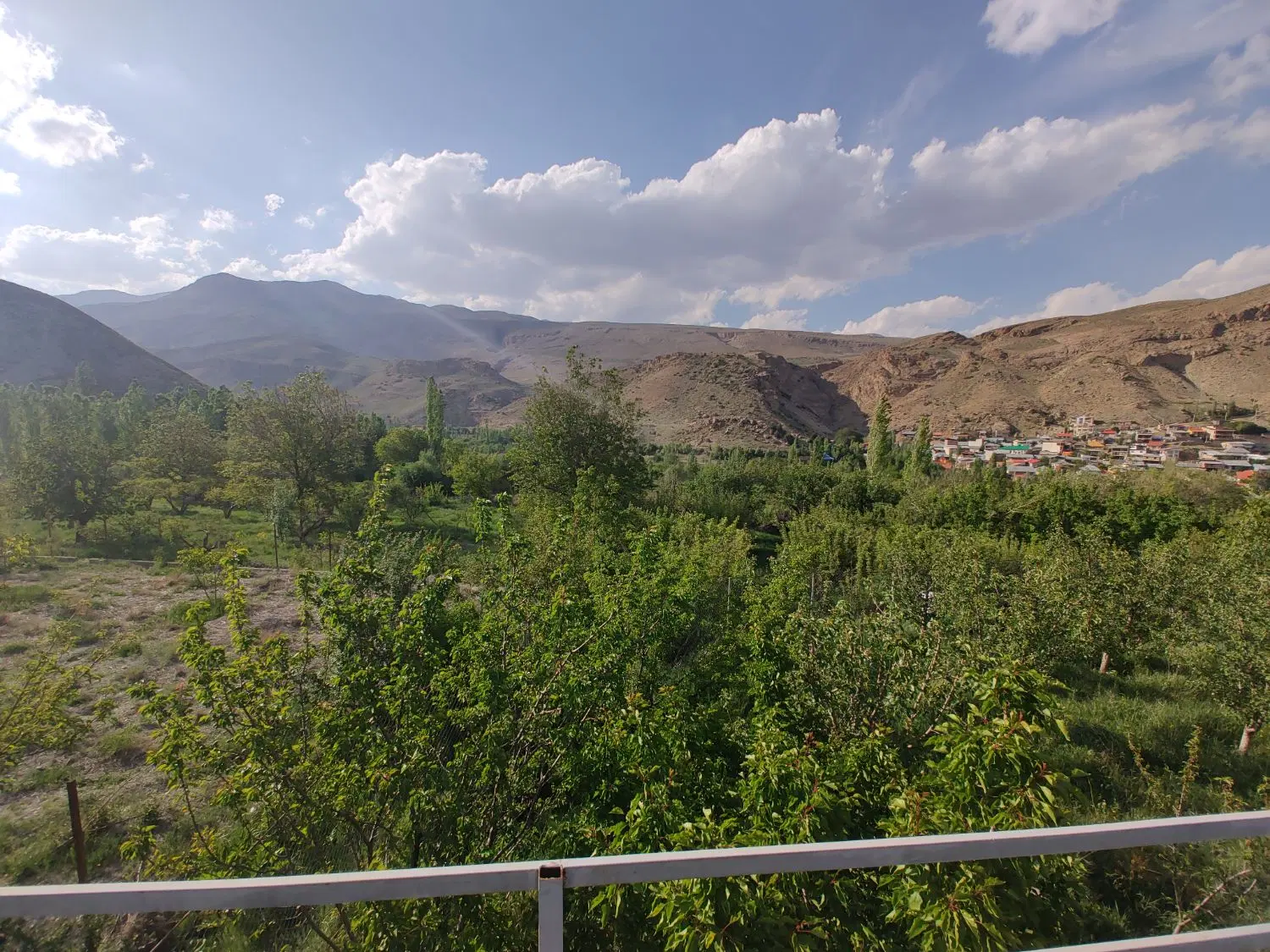 باغ