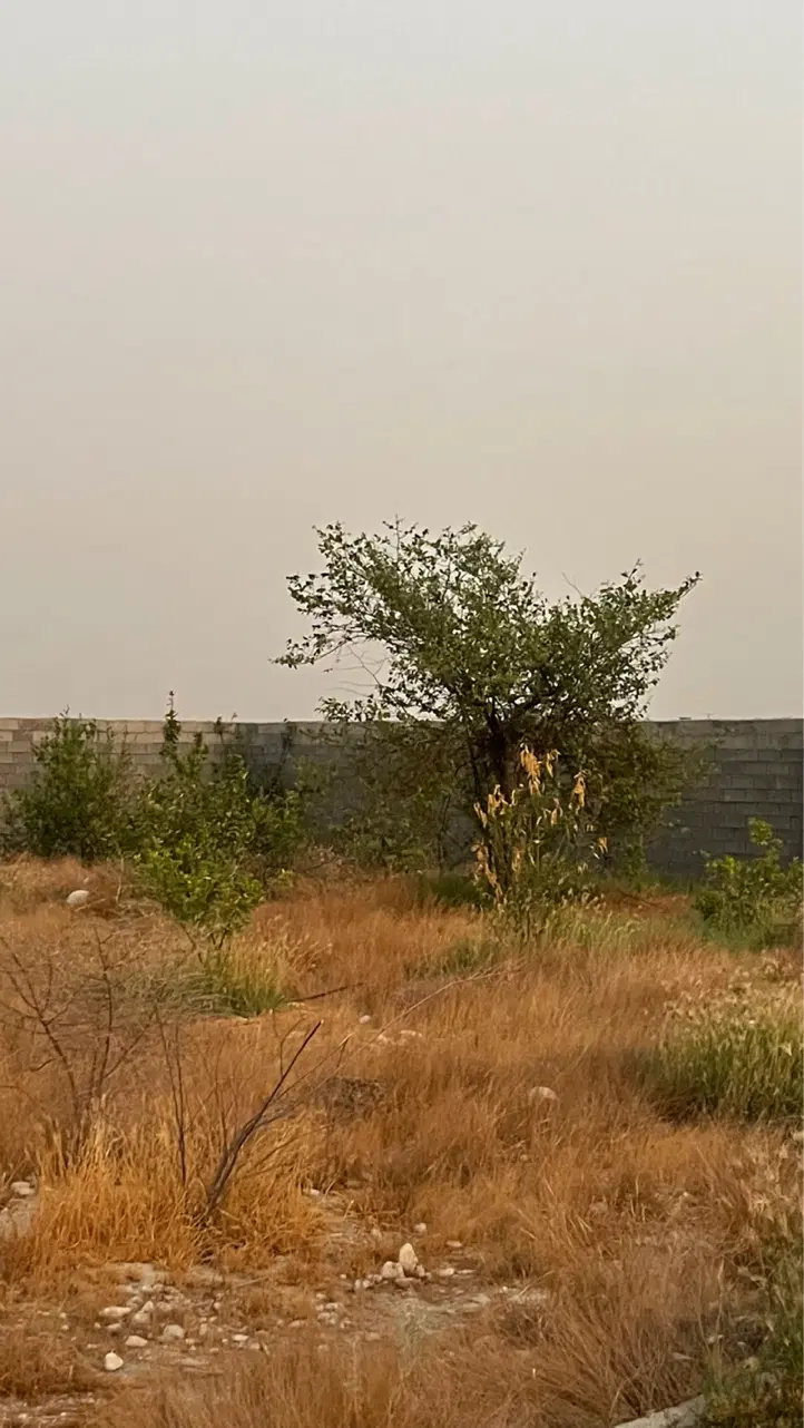 ۲هزار متر زمین سرخون