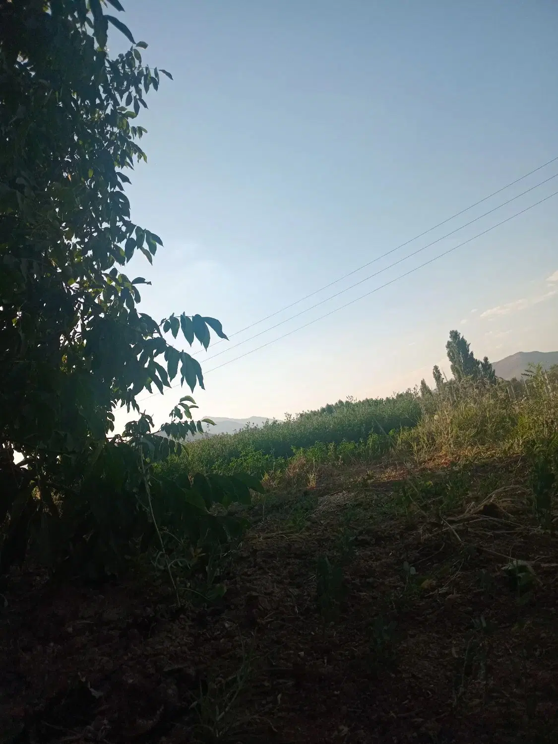 فروش زمین