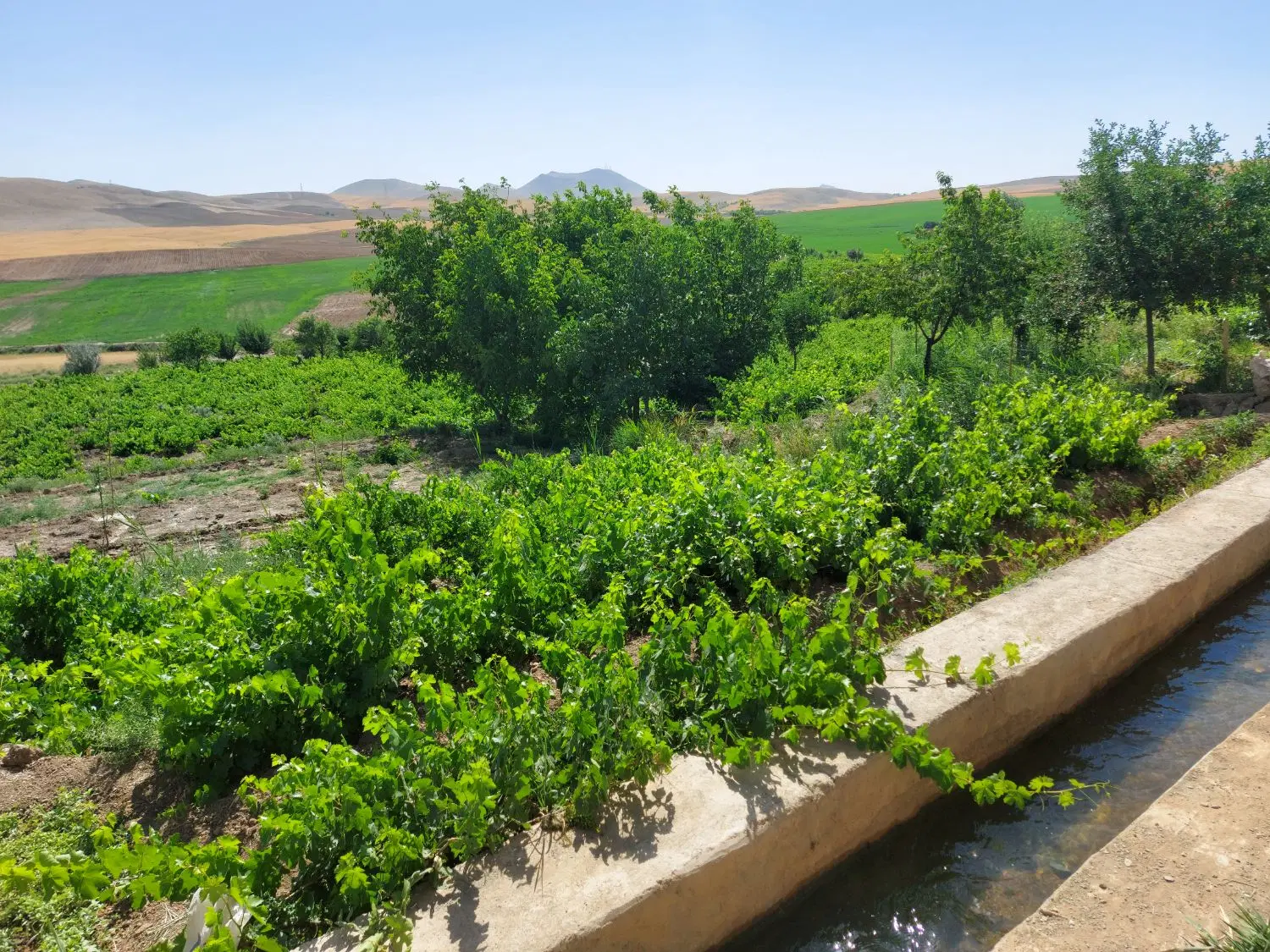 باغ ویلا حاجی آباد