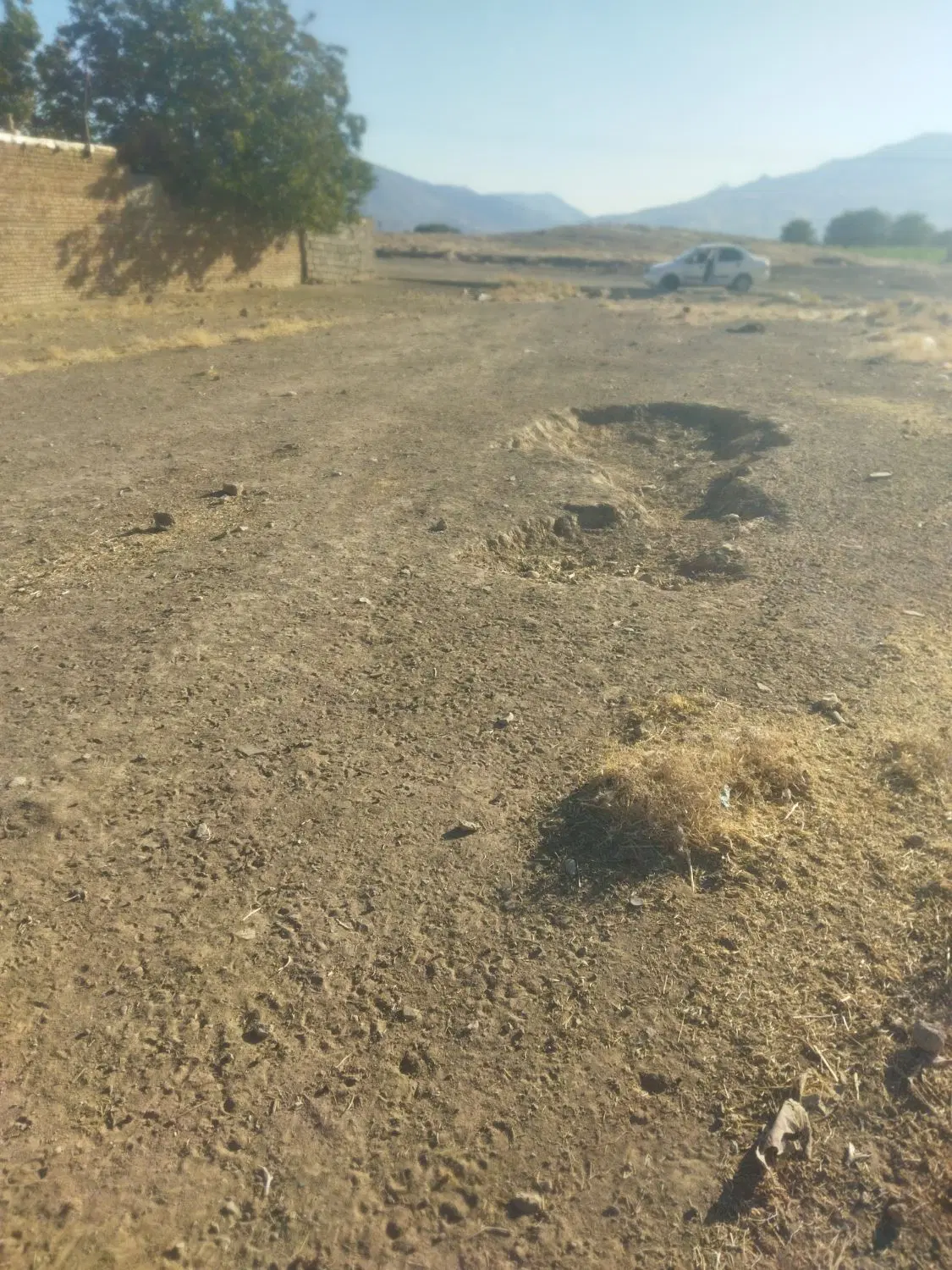 زمین