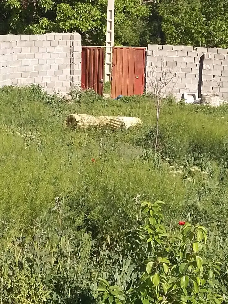 باکسر در الاوردی خان