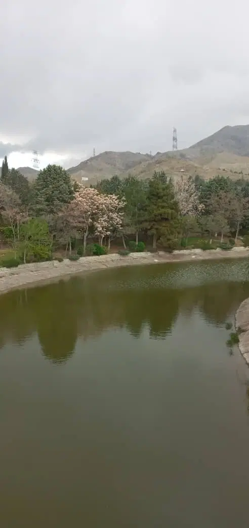 ۲۰۰ متر زمین مسکونی
