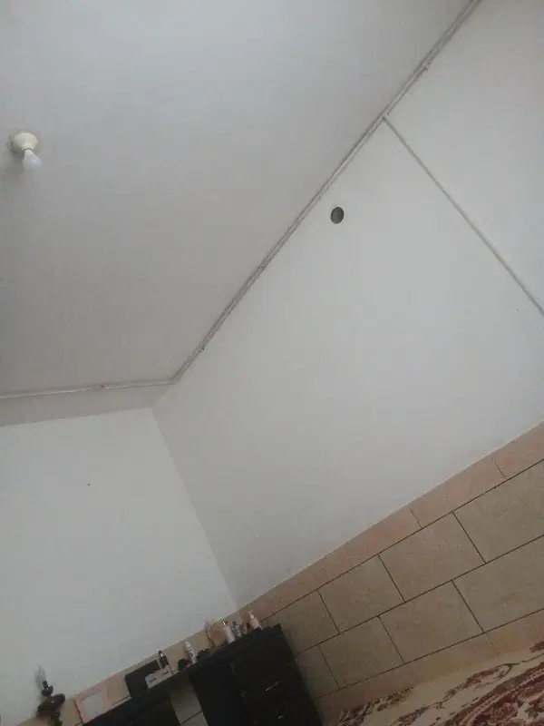 هم خونه