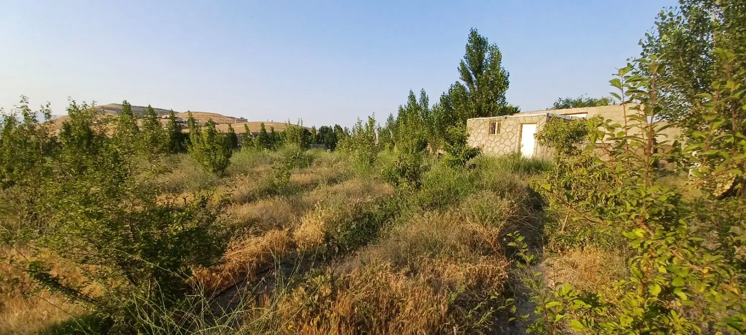 یک قطعه زمین موقعیت بر در چاوان ۳۲۰متر