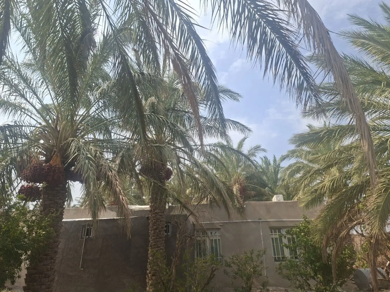 فروش خانه باغ