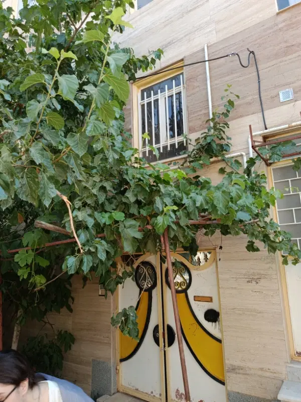 اجاره‌یک‌واحد‌مسکونی‌عبور‌مجزا