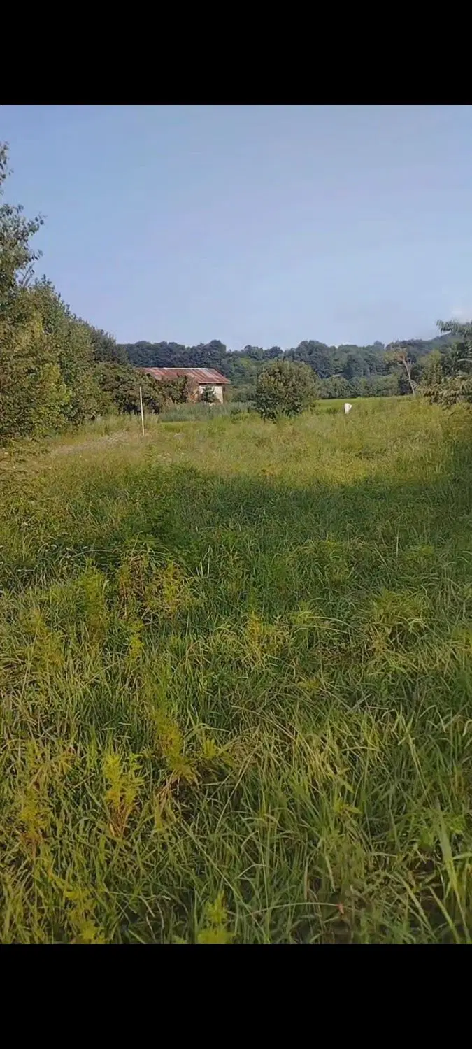زمین باغی
