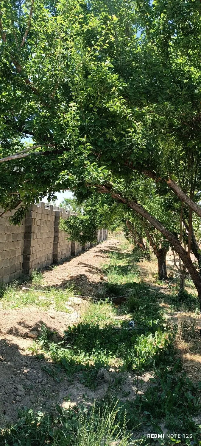 باغ فروشی