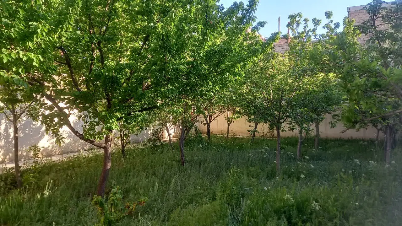 اجاره خانه ویلایی نوساز