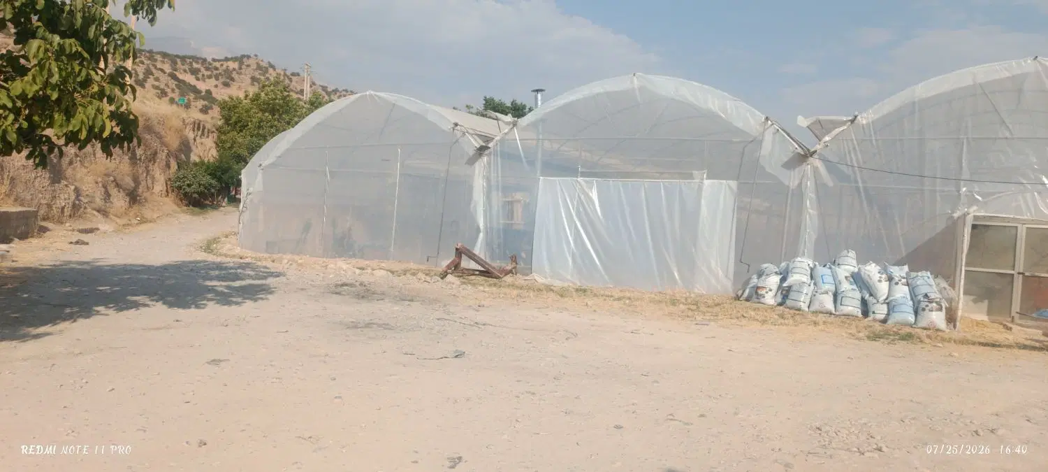 اجاره گلخانه 3000 متری