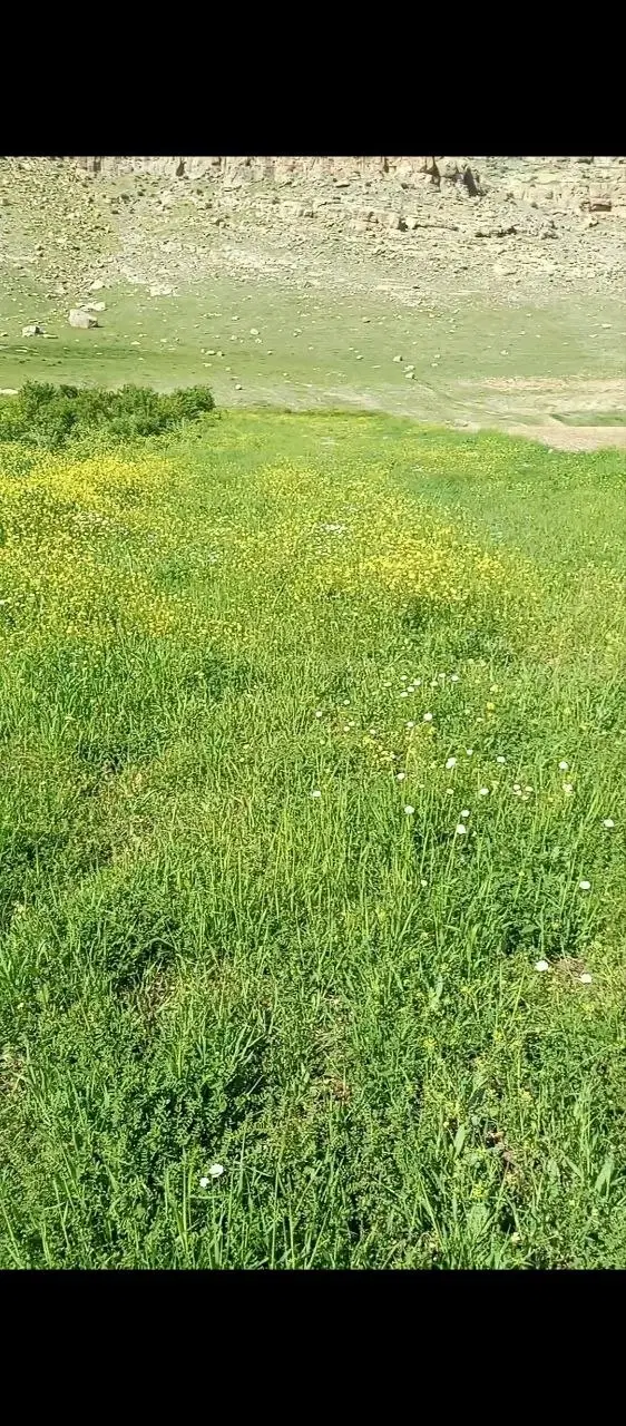 زمین کشاورزی