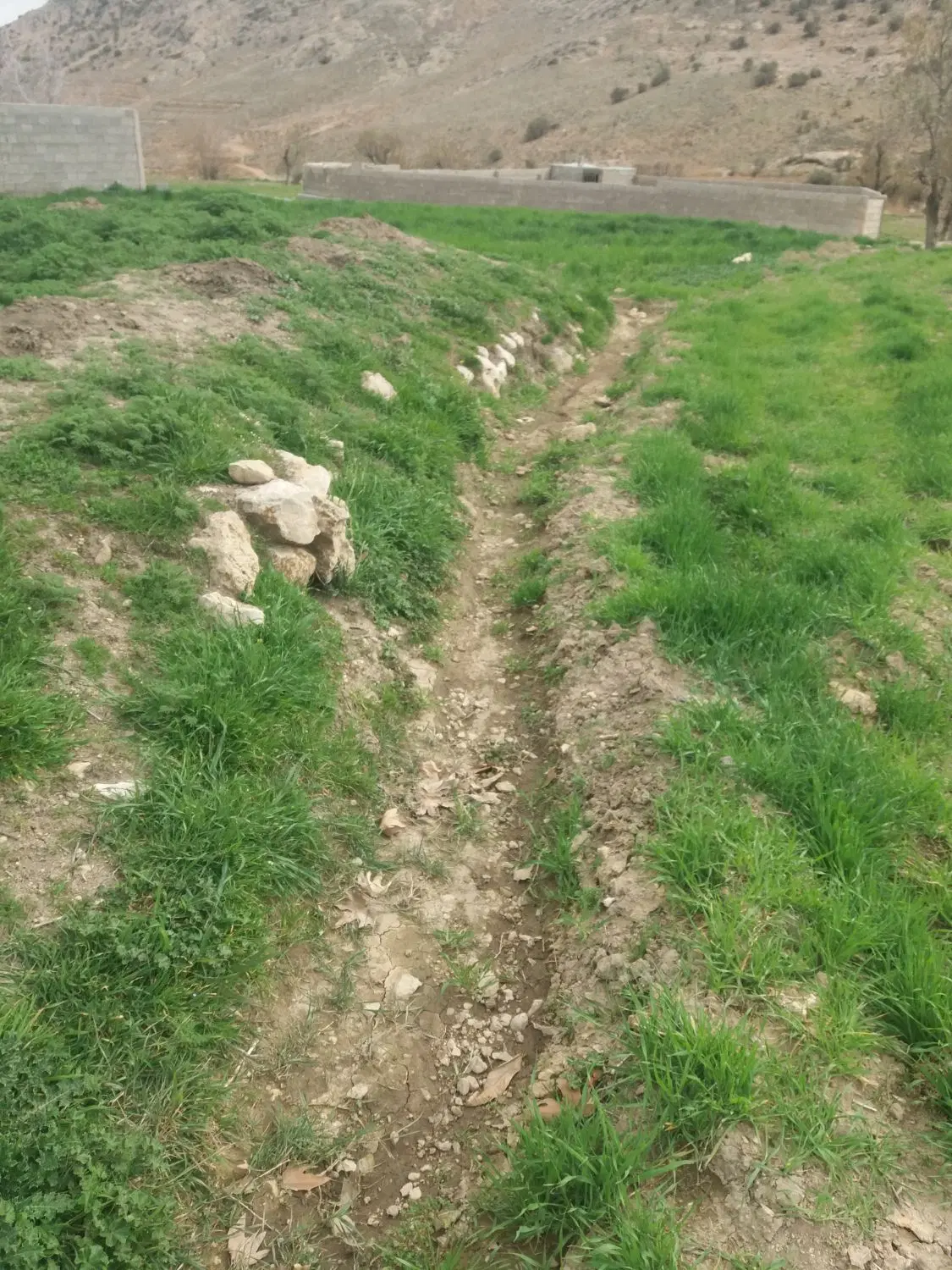 روستای بردج زمین۴۰۰ مترزمین      باغچه باسهمیه آب