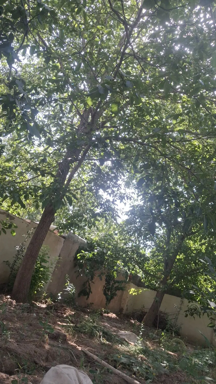 اجاره خانه