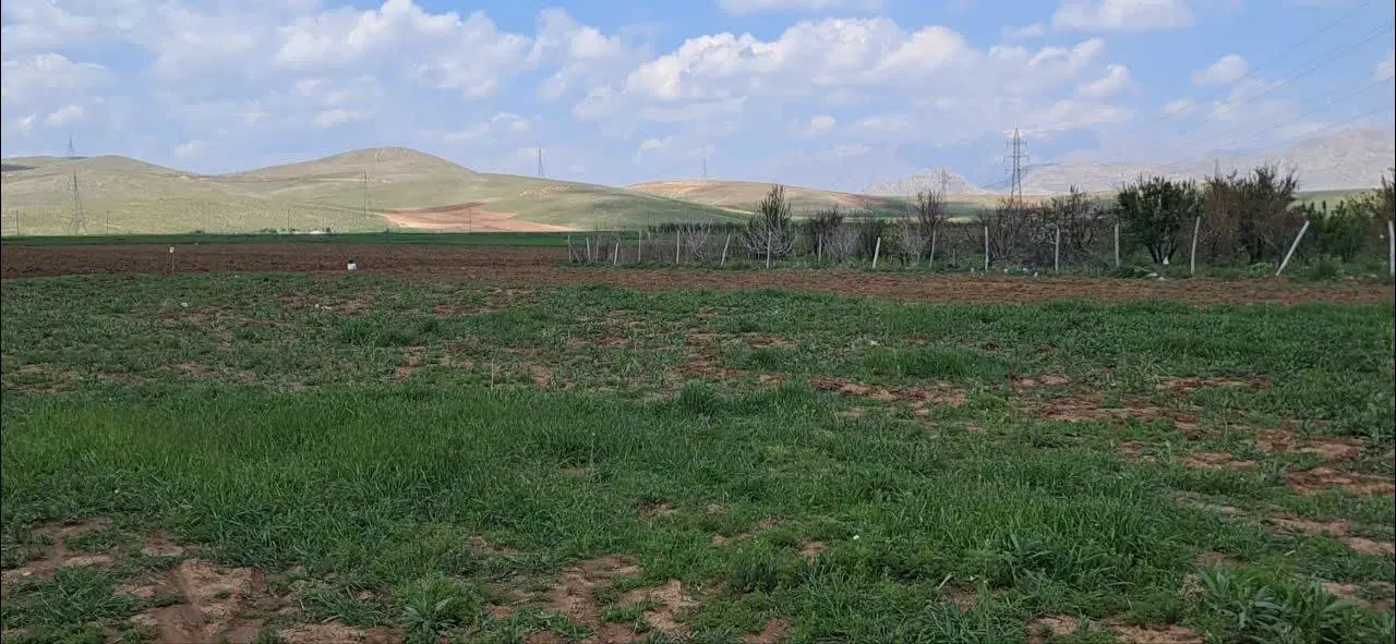 زمین مناسب احداث باغ عمرمل