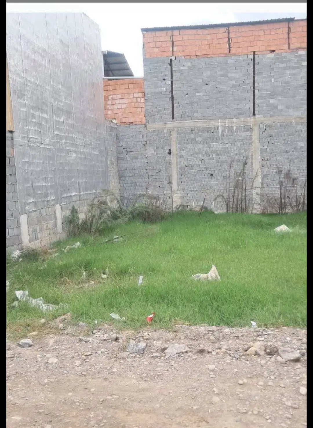 بابل حیدرکلازمین داخل بافت