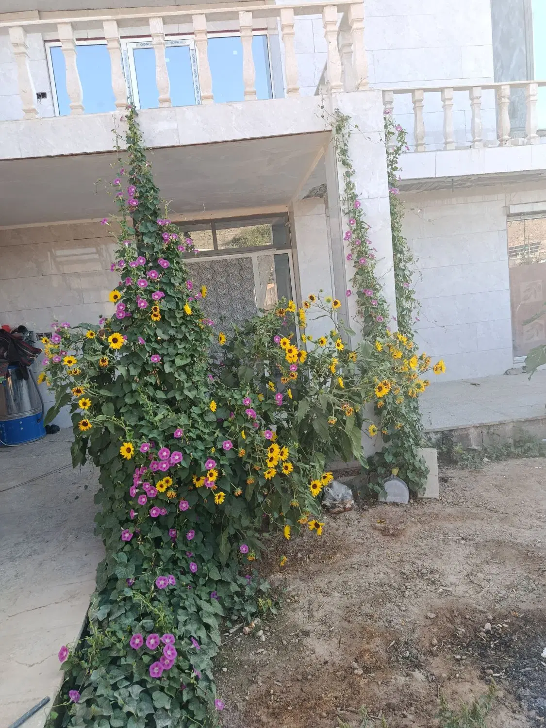 منزل اجاره ای