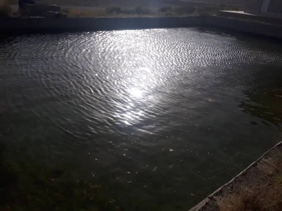 زمین کشاورزی با خانه