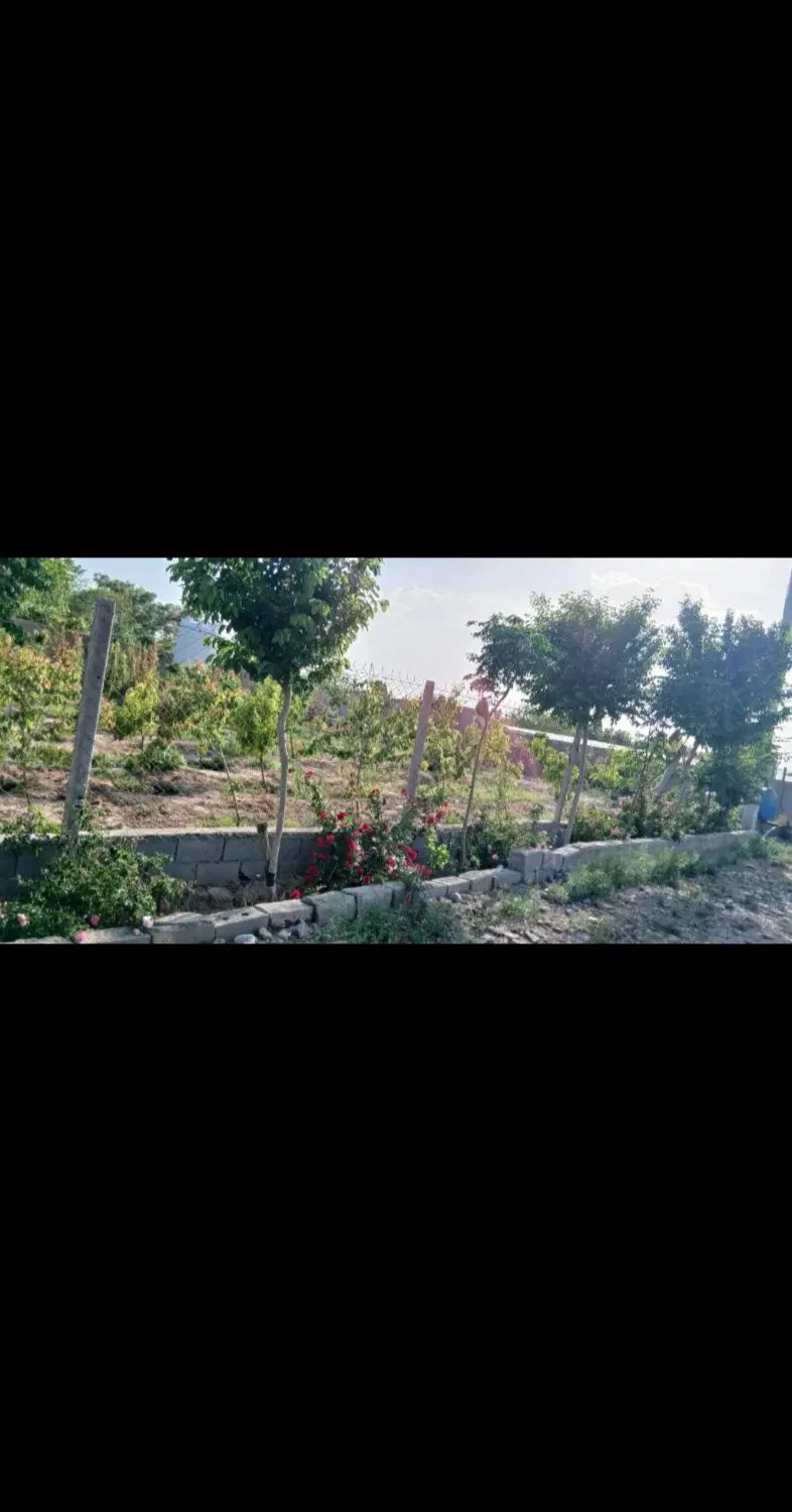 باغچه فروشی یا معاوضه باخودرو