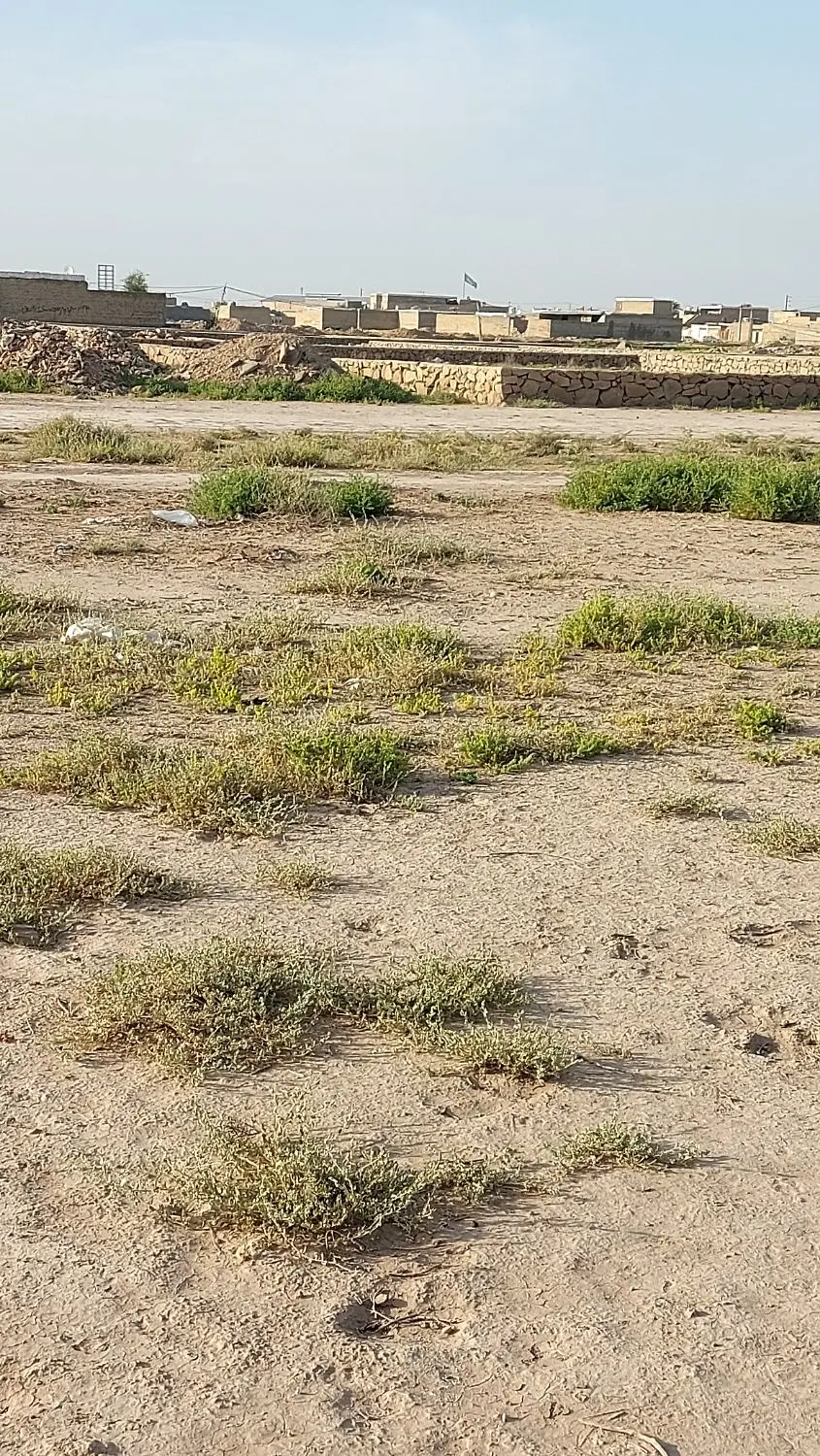 زمین به مساحت ۲۰۰متر بفروش می رسد