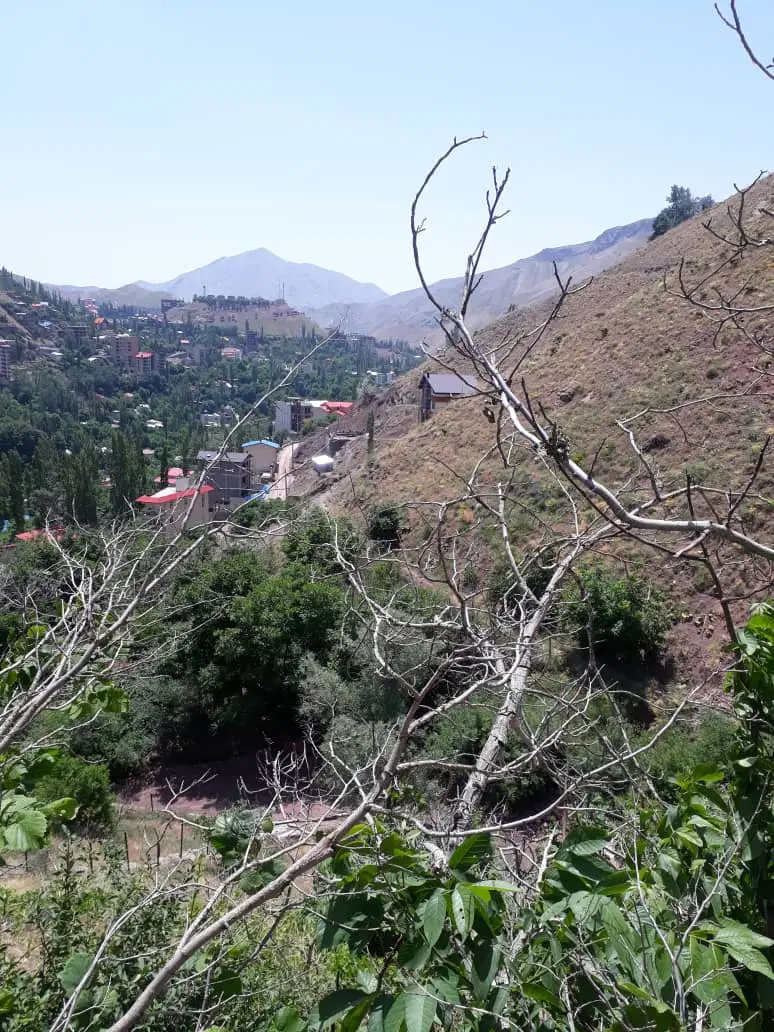 زمین چهاردیواری درفشم میگون