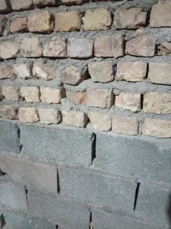 زمین خوش بالا