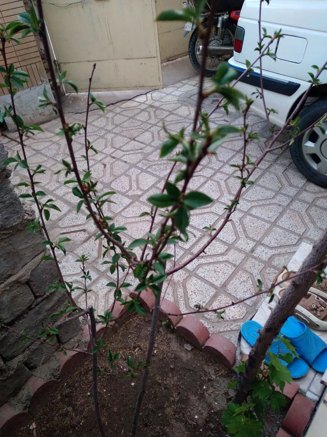 منزل فروشی شهرک رضویه