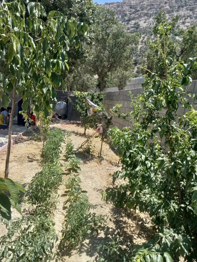 ویلا باغ