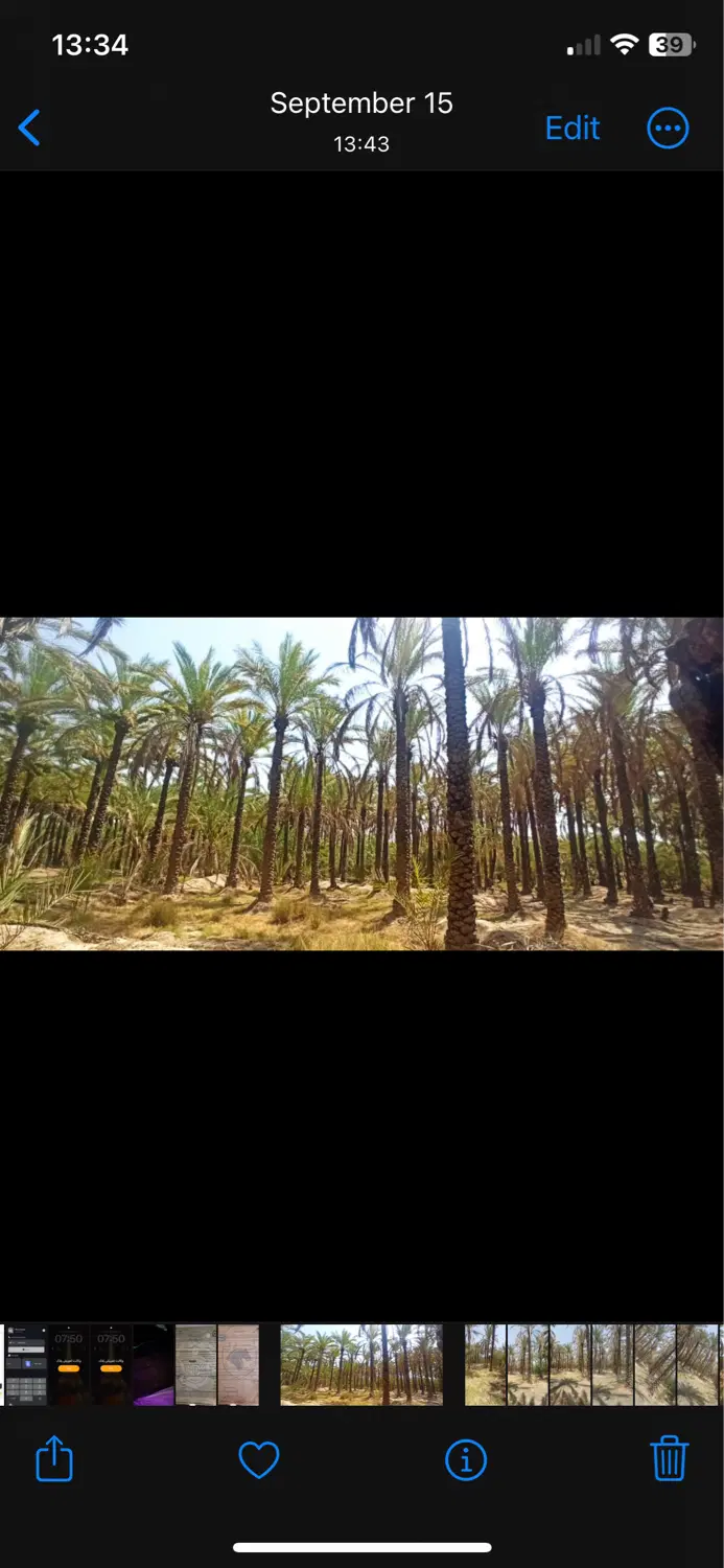 باغ ثمری ال طیب