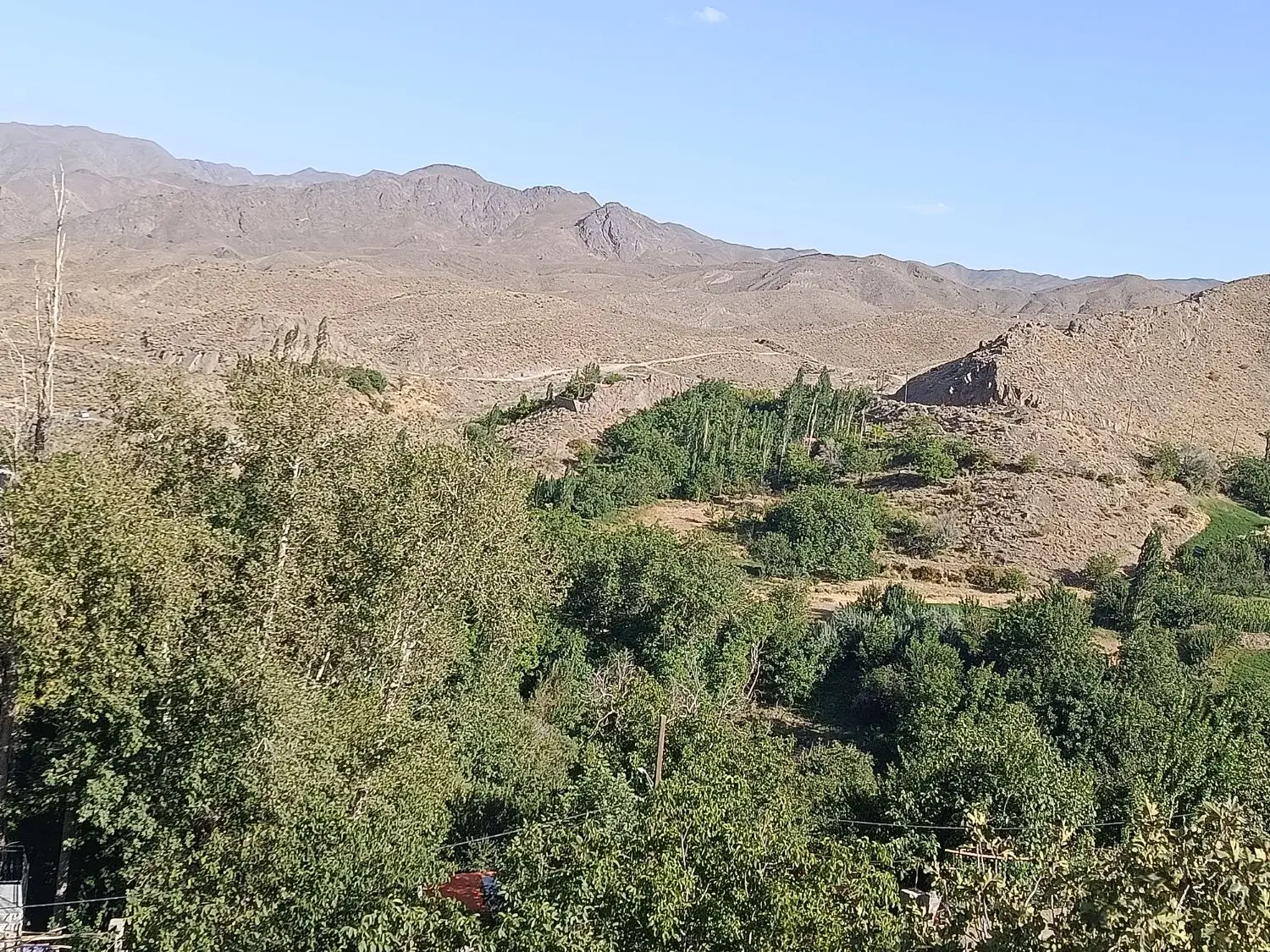 فروش زمین پسته ای