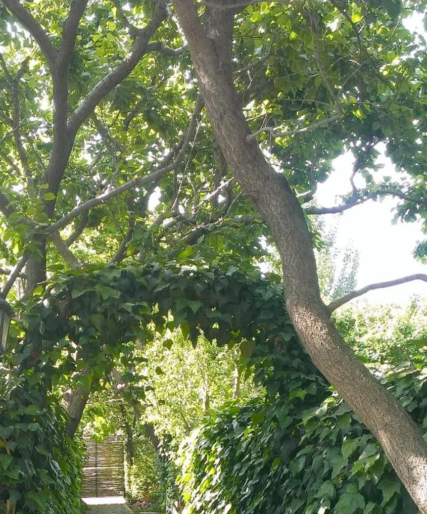 اجاره باغ ویلا سعلکده