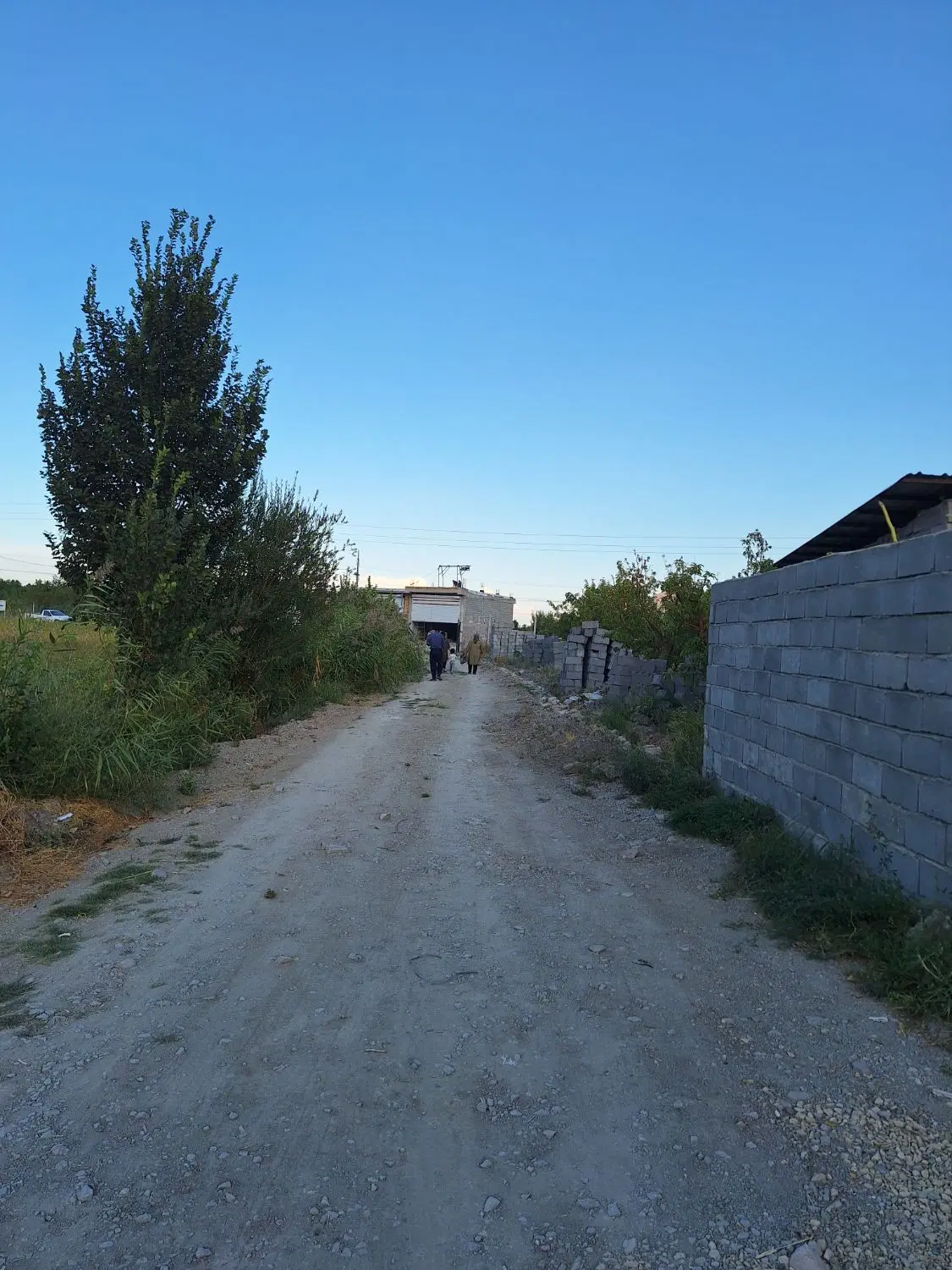 باغ در روستای سعید لو